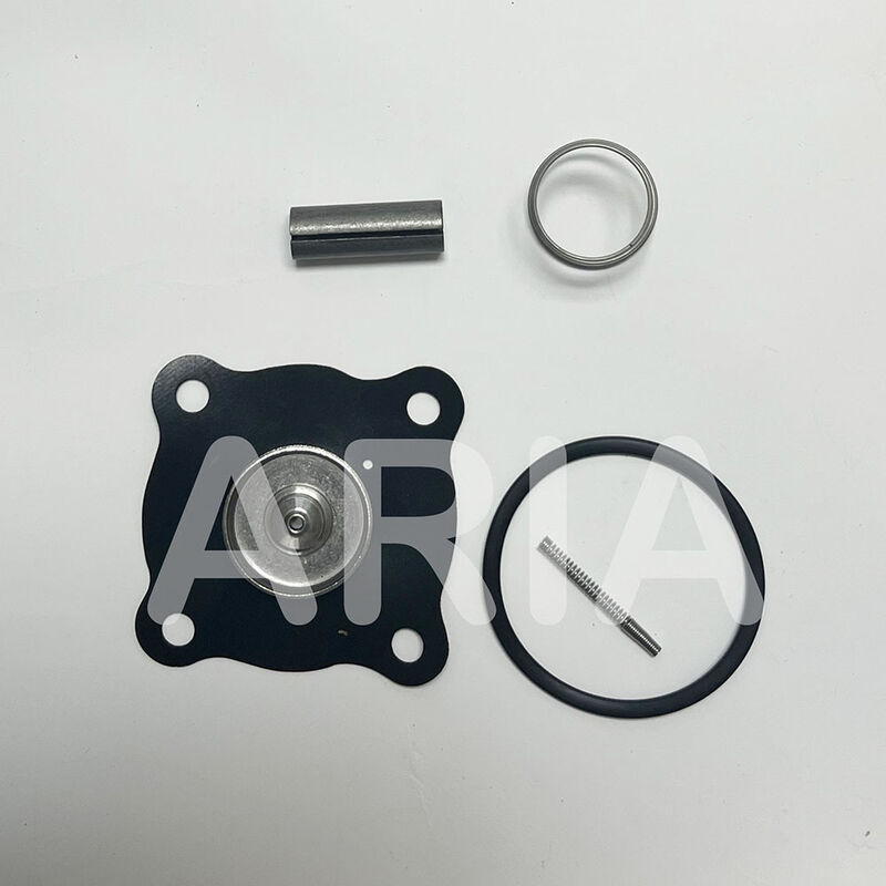 ASCO Elektromanyetik Su Valfı Tamir Kits K302273 Diyafragma Pilot Bahar Mühürlü Yüzük K302277 C123670 K302276 SCE210D009 8210G009 D095A