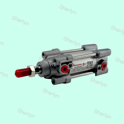 RA802032/M/20 NORGREN Silindir 15552 Serisi Çift Etkinlikli 32 mm Silindir Diametresi