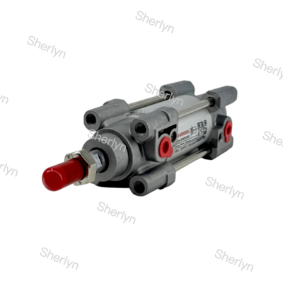 RA/802032/M/125 Çift Etkili Silindir 32mm Çap 125mm Strok