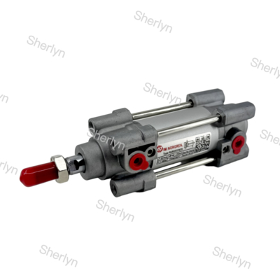 50 Mm Strok Norgren Silindiri RA/802032/M/50 Çift Etkili Silindir 32mm Çap